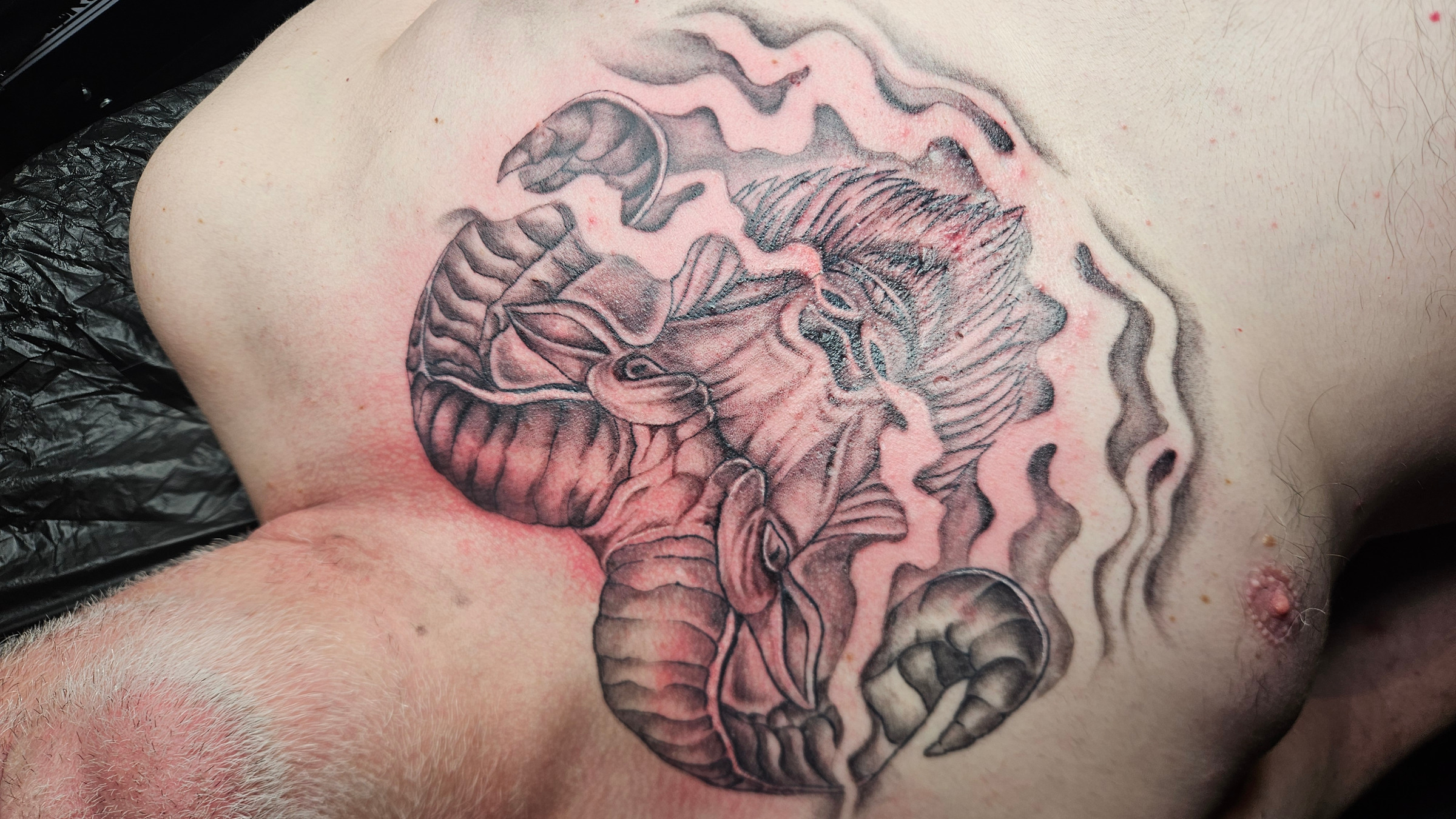 Tattoo und Körperwirkung